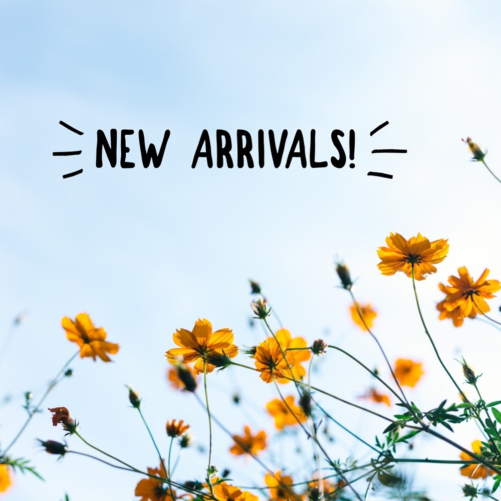 Just In! - Picture 1 of 1